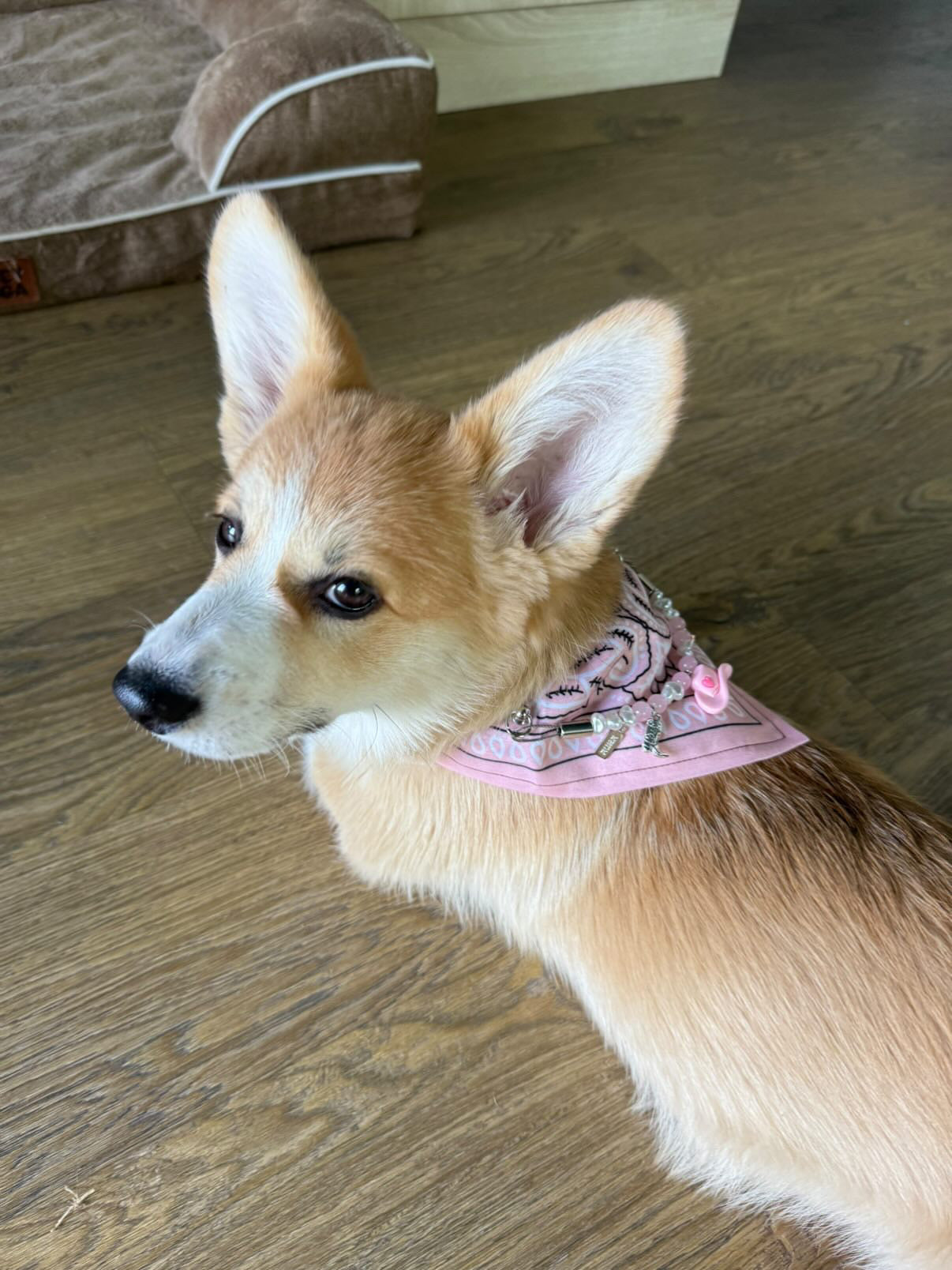 ロージージェーン ピンク バンダナカラー 犬猫用