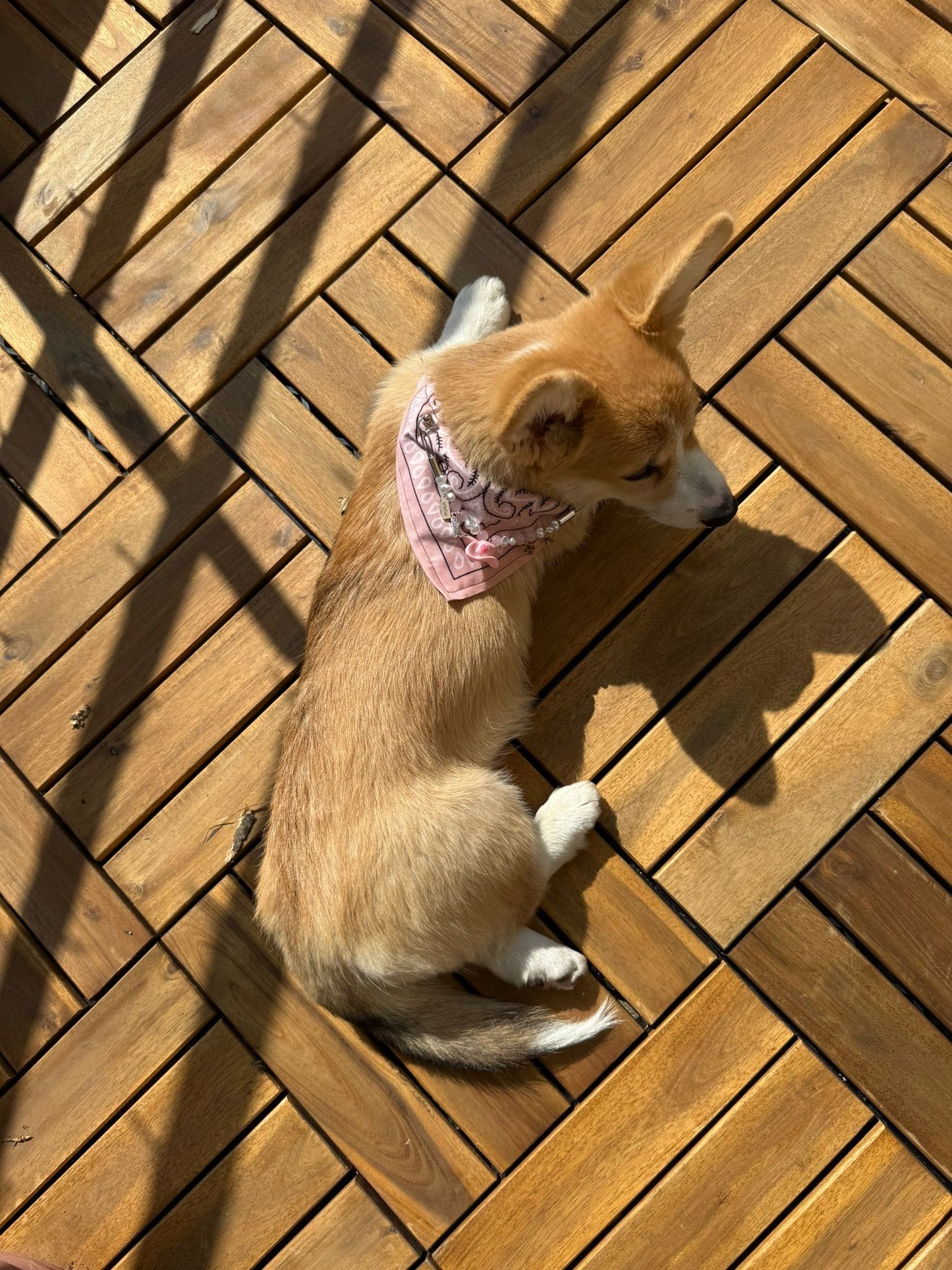 ロージージェーン ピンク バンダナカラー 犬猫用