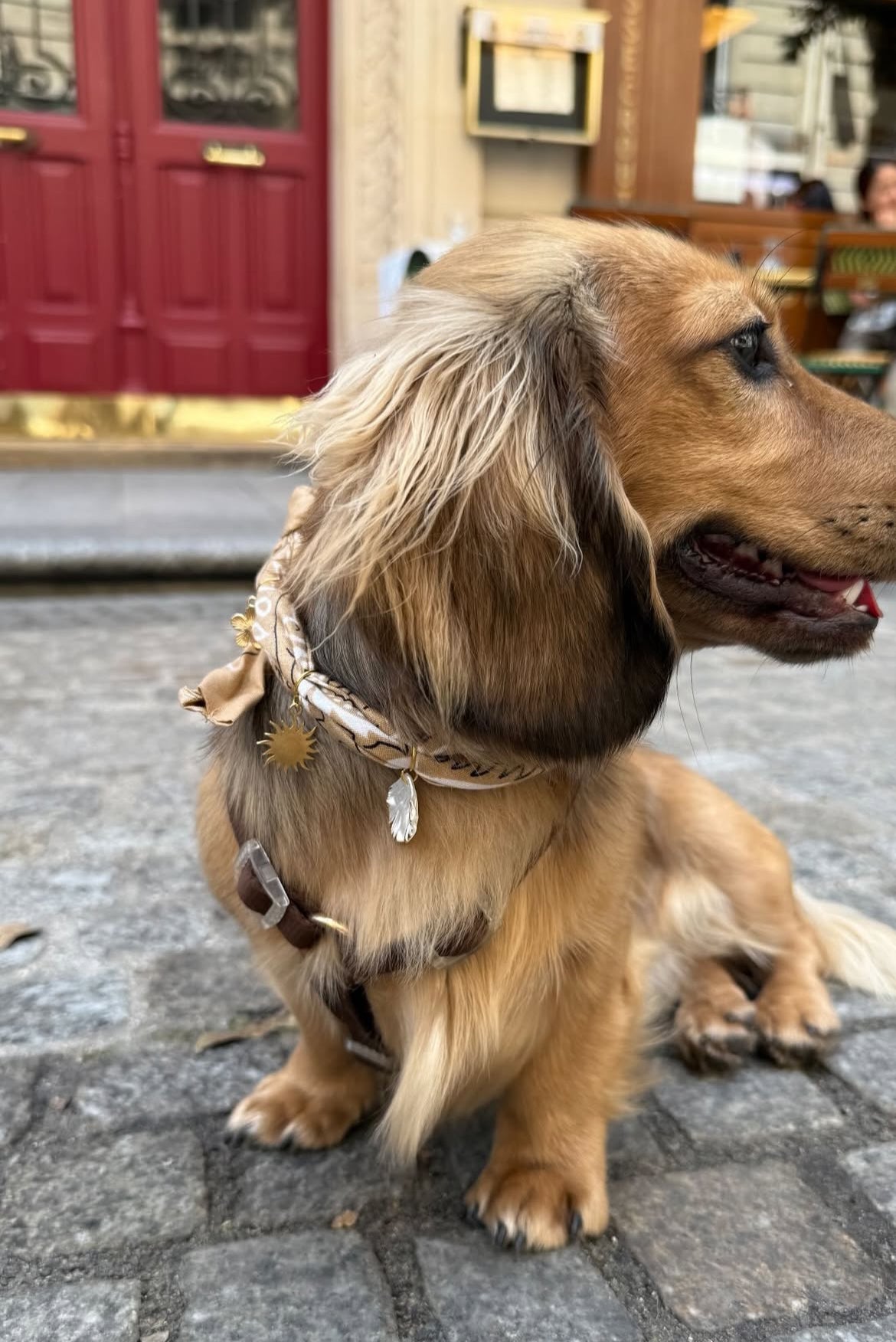 犬と猫用のイエローアリゾナバンダナカラー