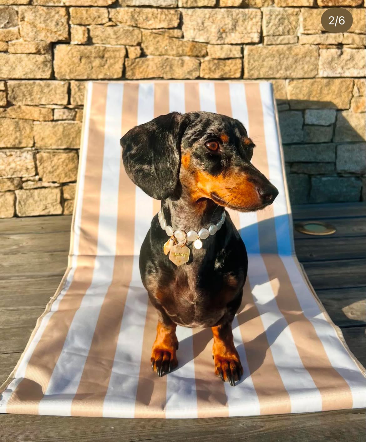 犬と猫用のIsla Pearl首輪
