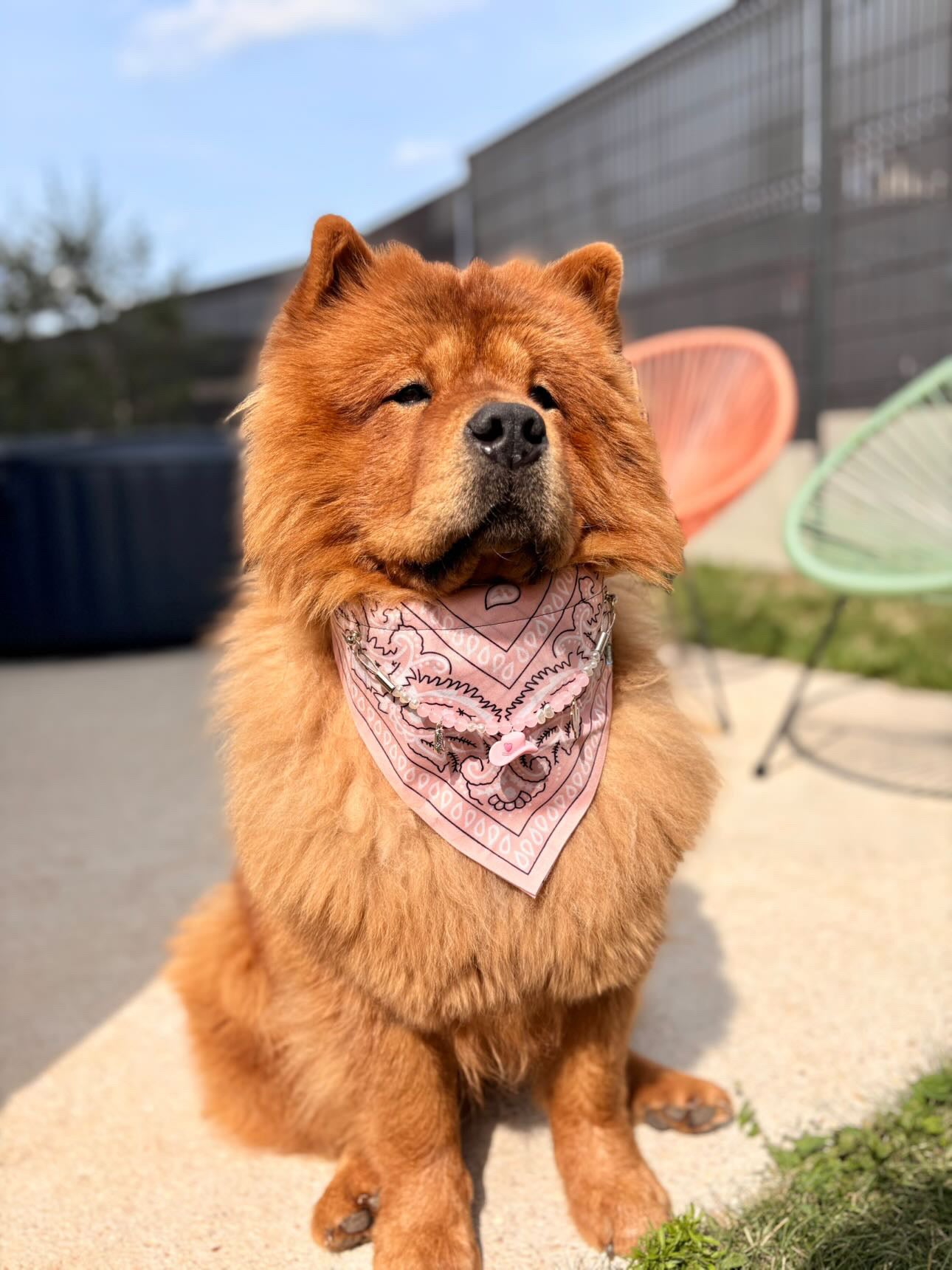 ロージージェーン ピンク バンダナカラー 犬猫用