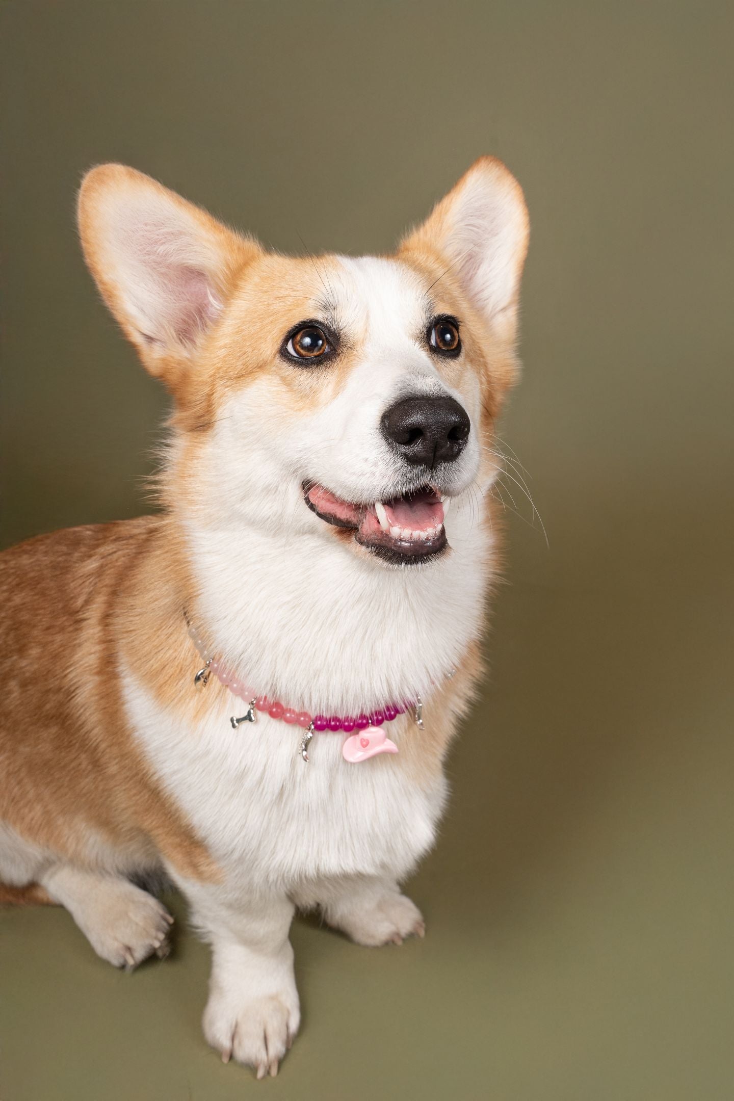 カウガールパール犬猫用首輪