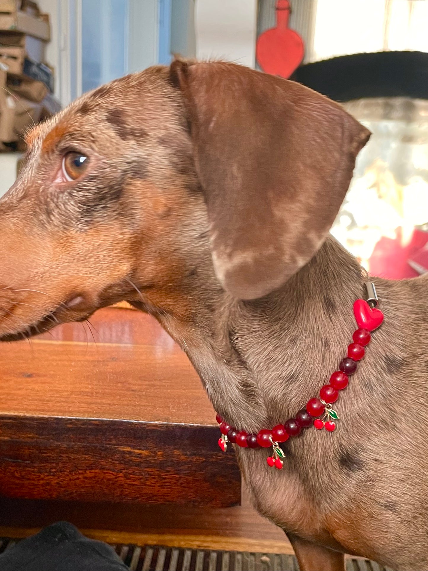 犬と猫用のチェリーチェリーパールカラー
