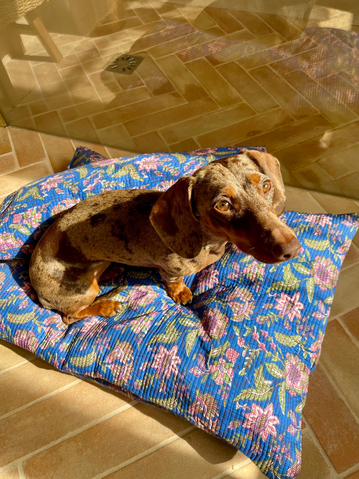 Lit en tissu imprimé bleu Indigo Fever pour chien et chat