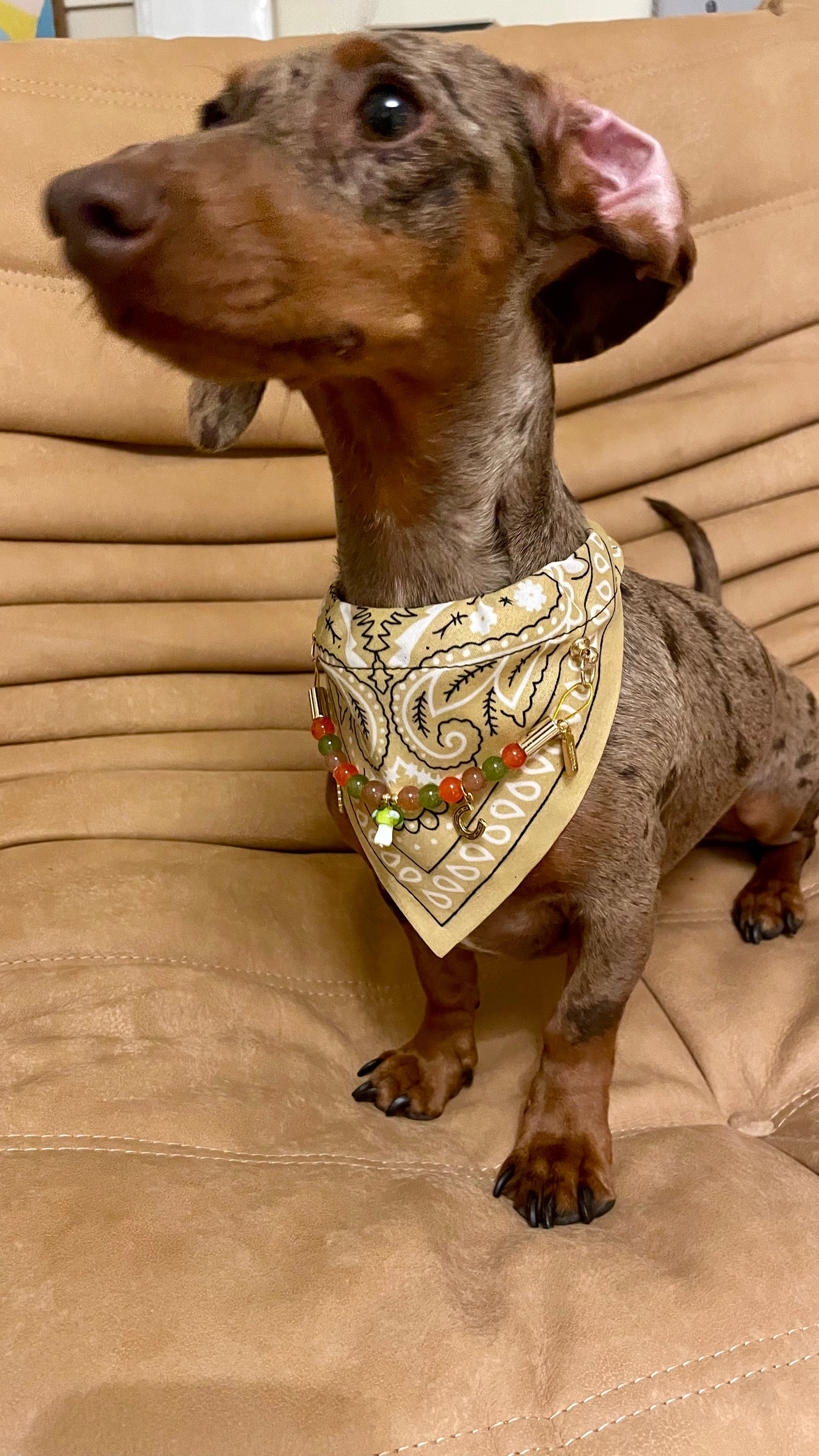 Bandana-Collier beige Fall In Love pour chien et chat