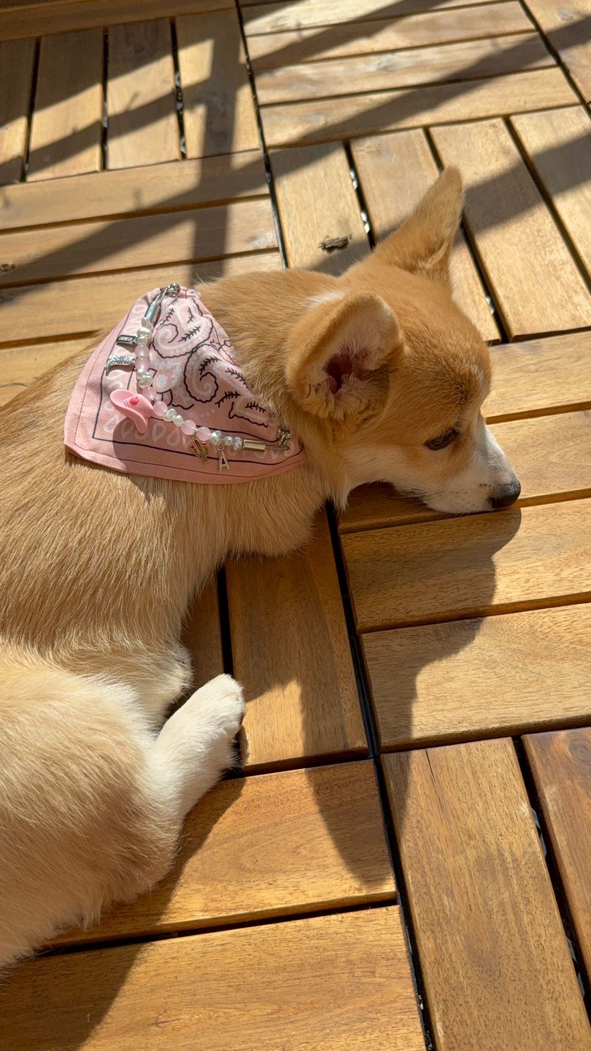 ロージージェーン ピンク バンダナカラー 犬猫用