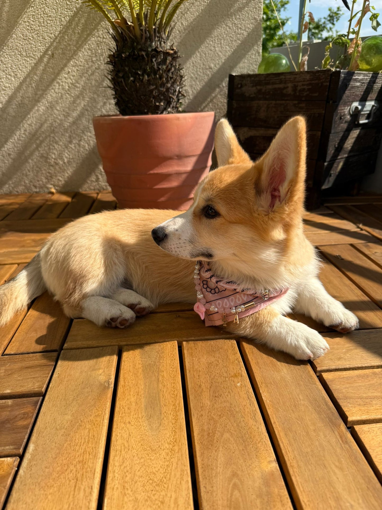 ロージージェーン ピンク バンダナカラー 犬猫用