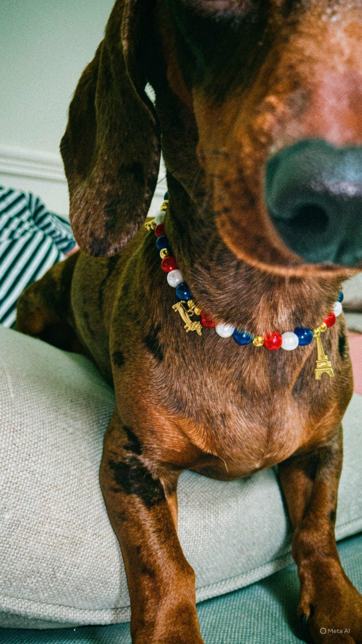 Collier en perles pour chien French Kiss