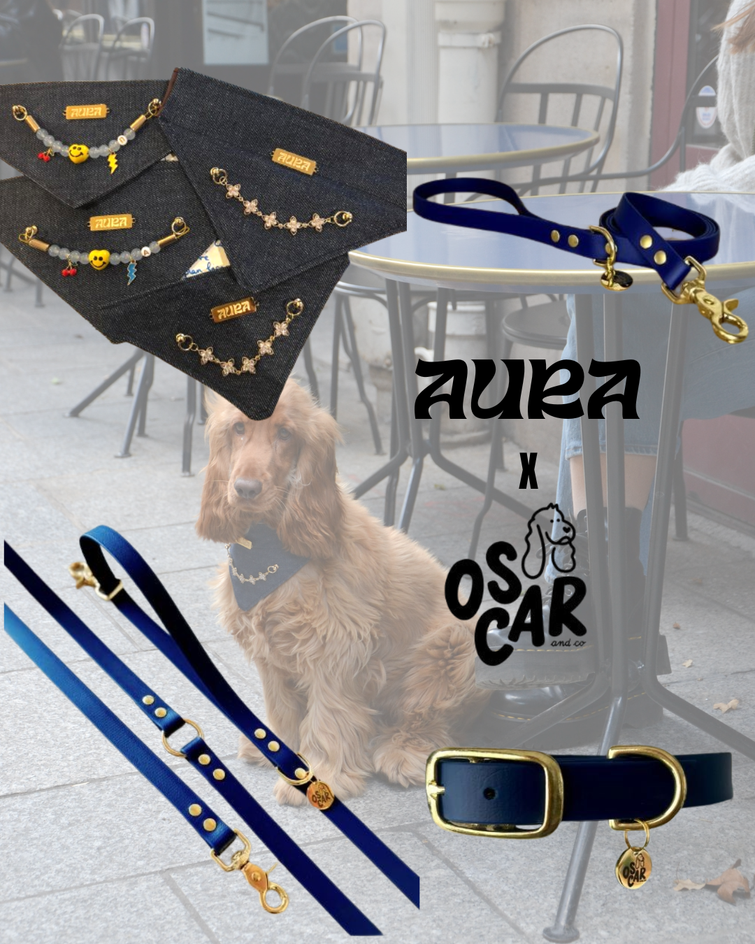 Pack Bandana en jeans + Collier en biothane - Aura x Oscar & Co