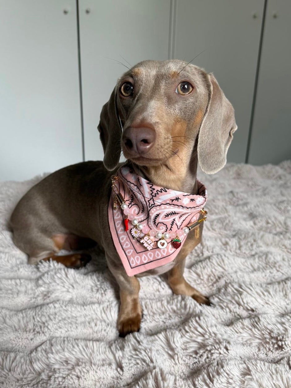 Collier Bandana 100% personnalisé