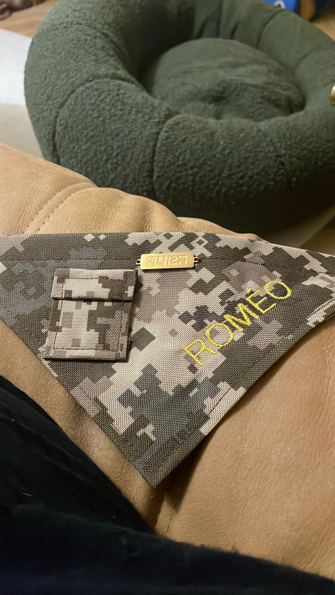 Bandana-Collier Ranger pour chiens