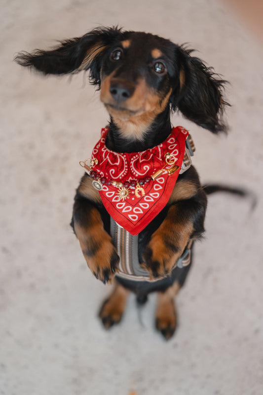 Atelier Bar à Charms Collier / Bandana chez Les Frimeurs, Bordeaux