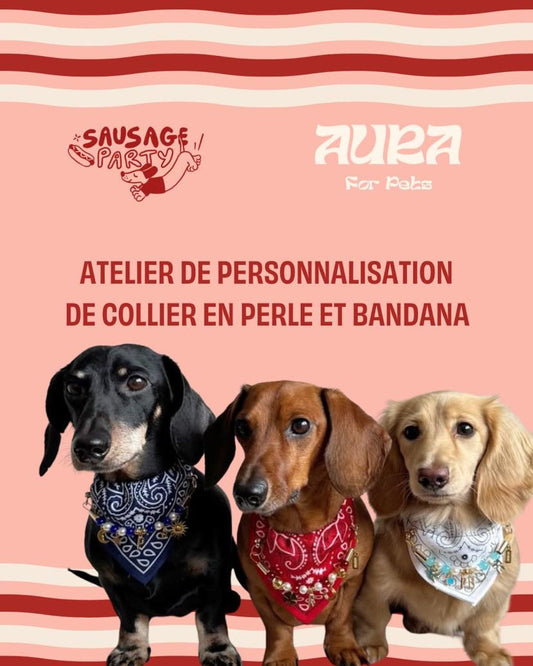 リヨンのブリガンドにある魅力的なバー