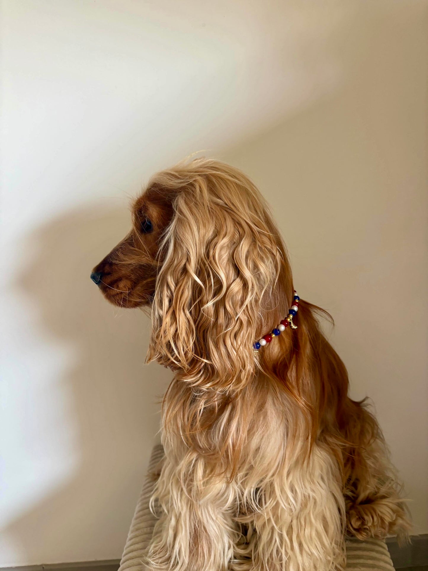 Collier en perles pour chien French Kiss