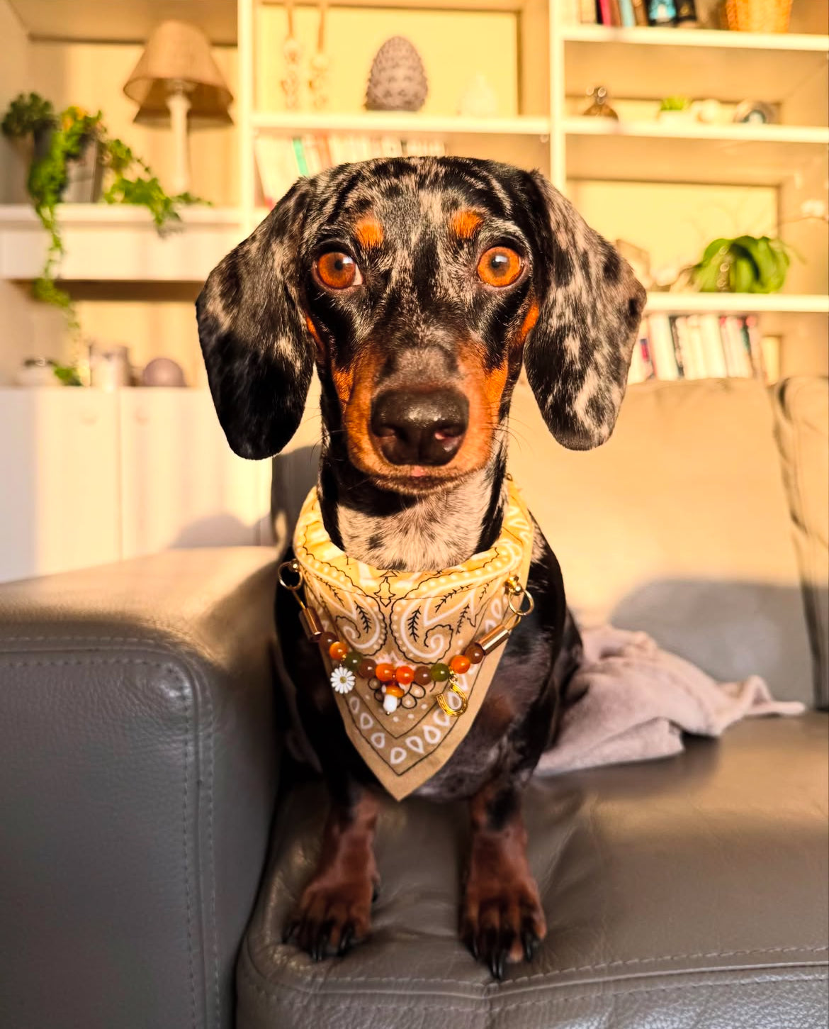 犬と猫用のイエローアリゾナバンダナカラー