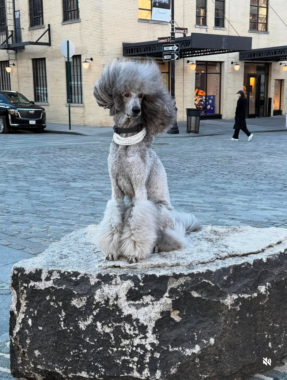 "Baronne" Pearl Collar for Dogs and Cats