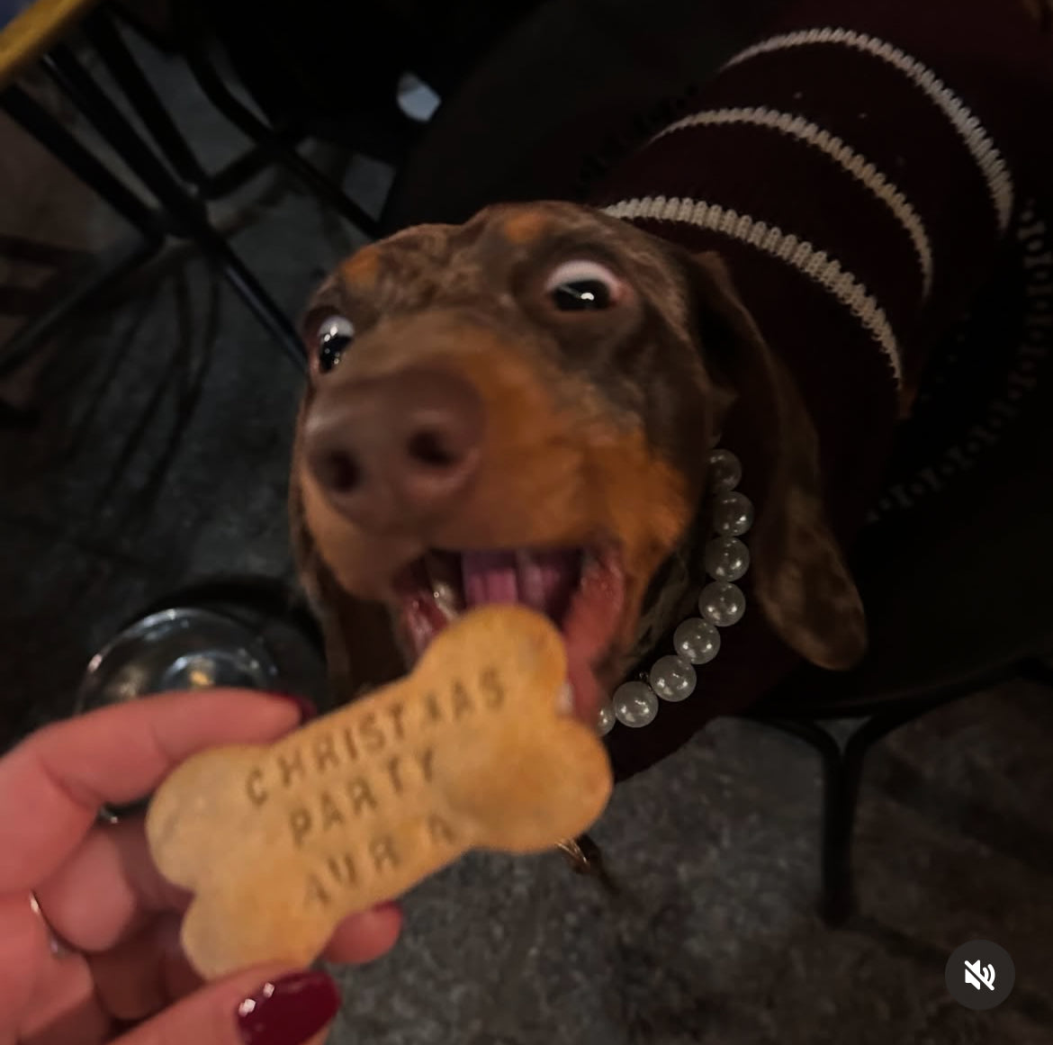 "Baronne" Pearl Collar for Dogs and Cats