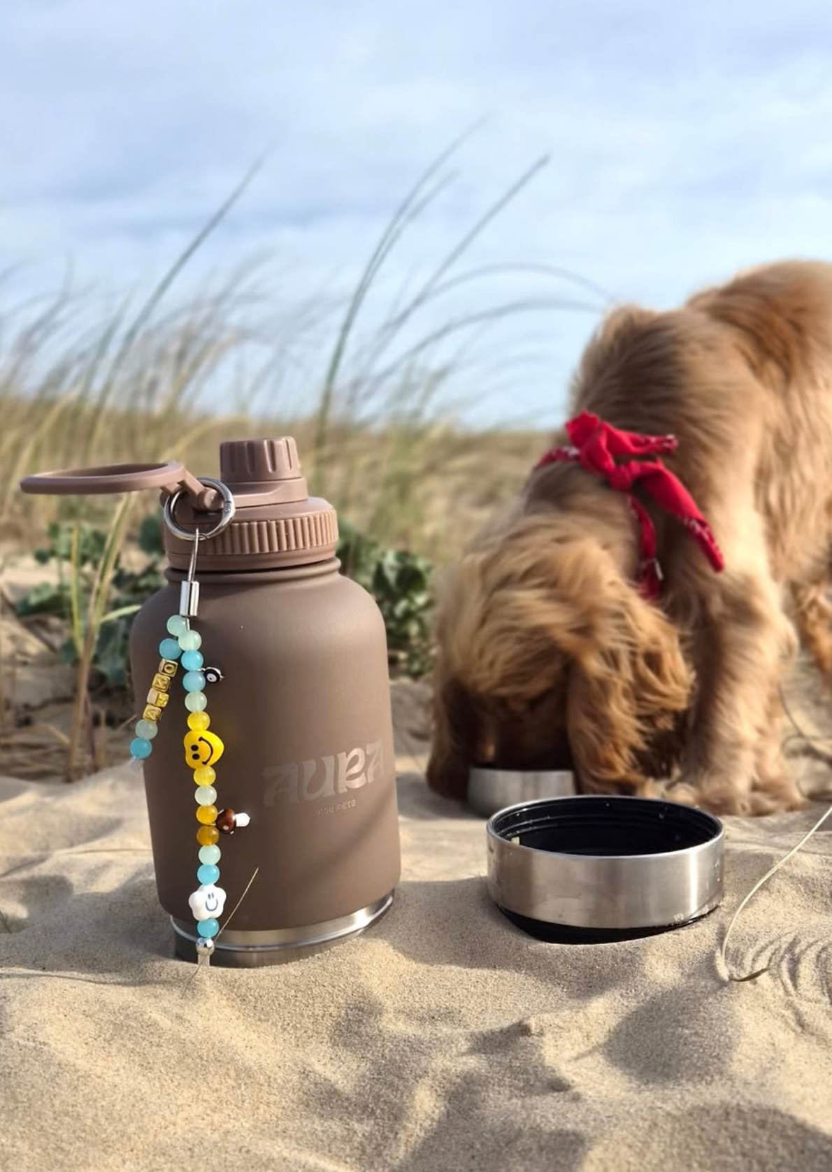 Gourde pour chien et humain