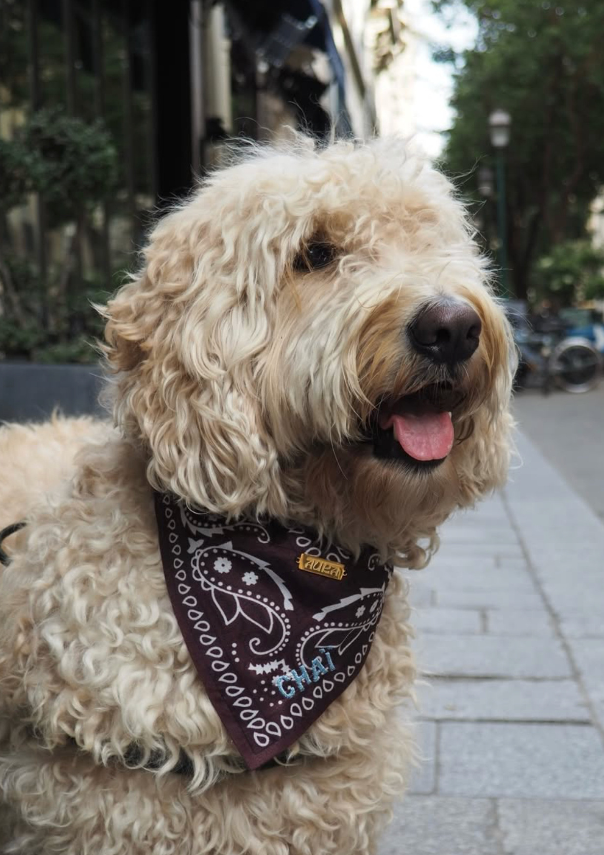100% Personalized Bandana Necklace