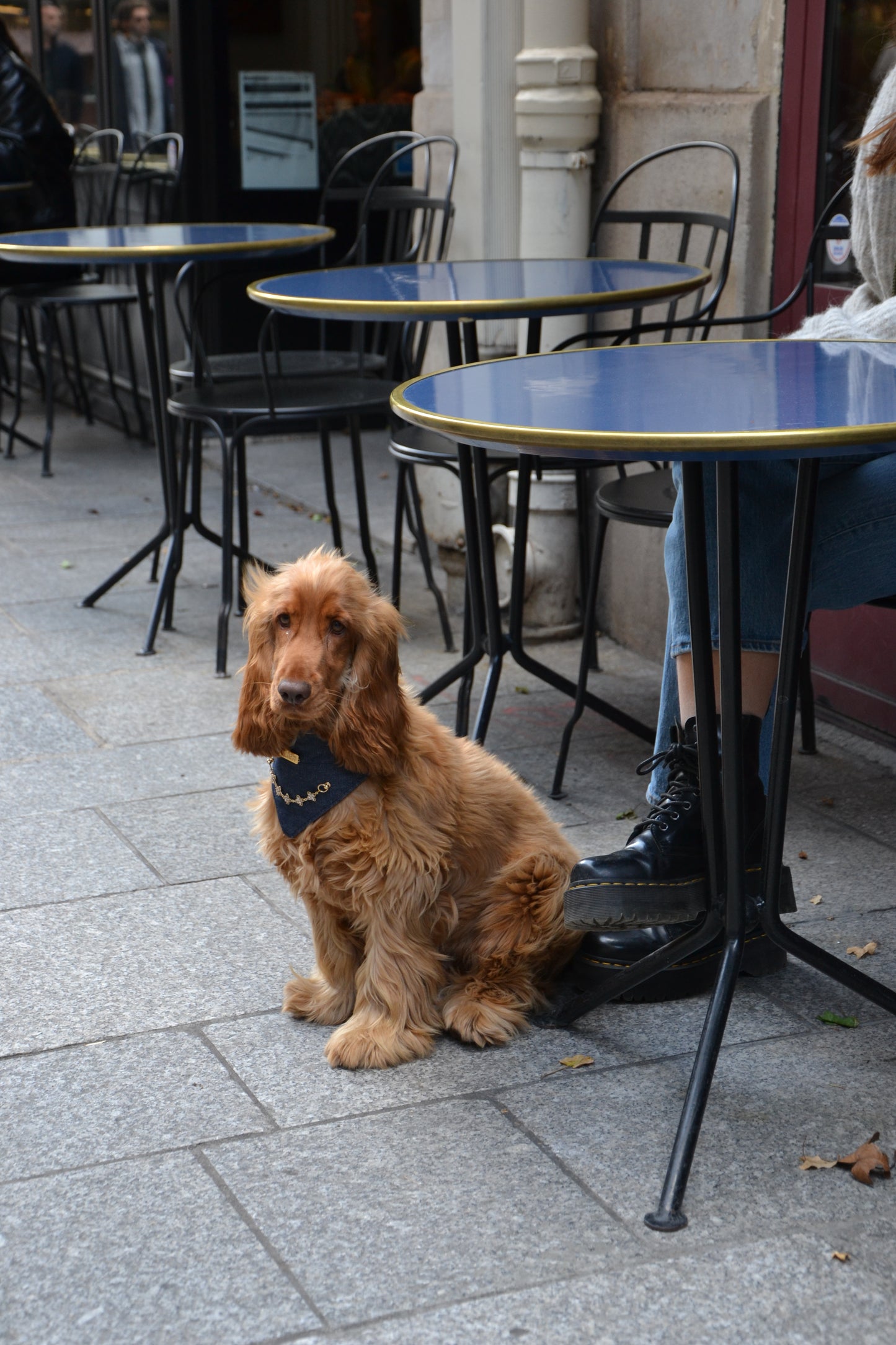 Bandana-Collier 100% denim Star Kid pour chiens