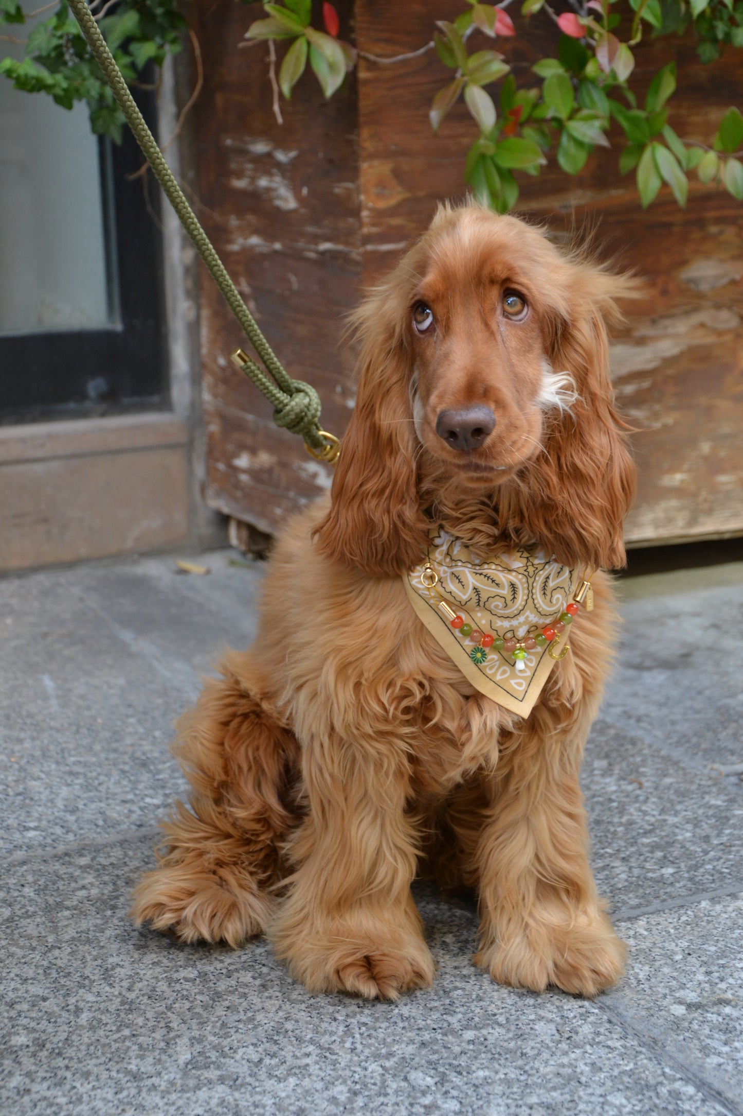Bandana-Collier beige Fall In Love pour chien et chat