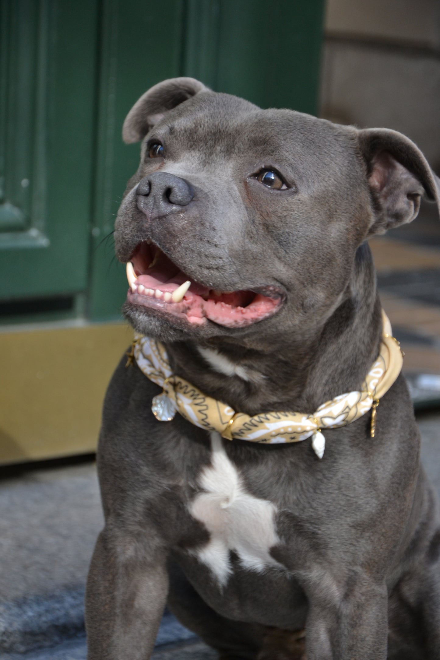 Bandana-Collier à nouer beige Dune pour chien et chat