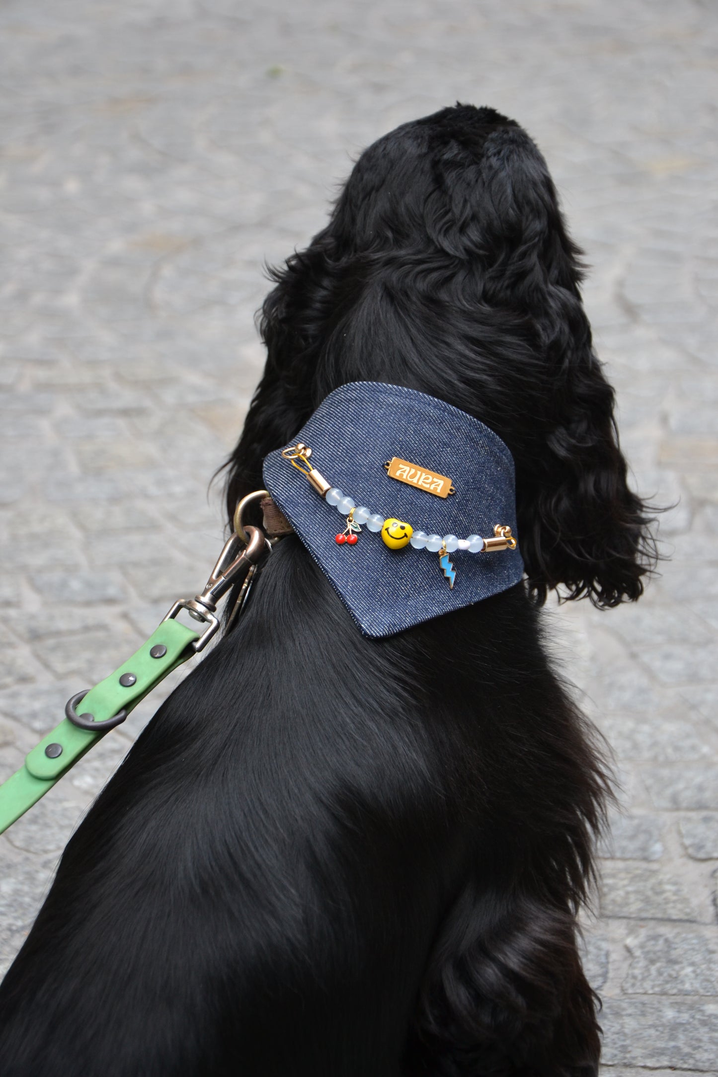 Bandana-Collier 100% denim Cool Kid pour chiens
