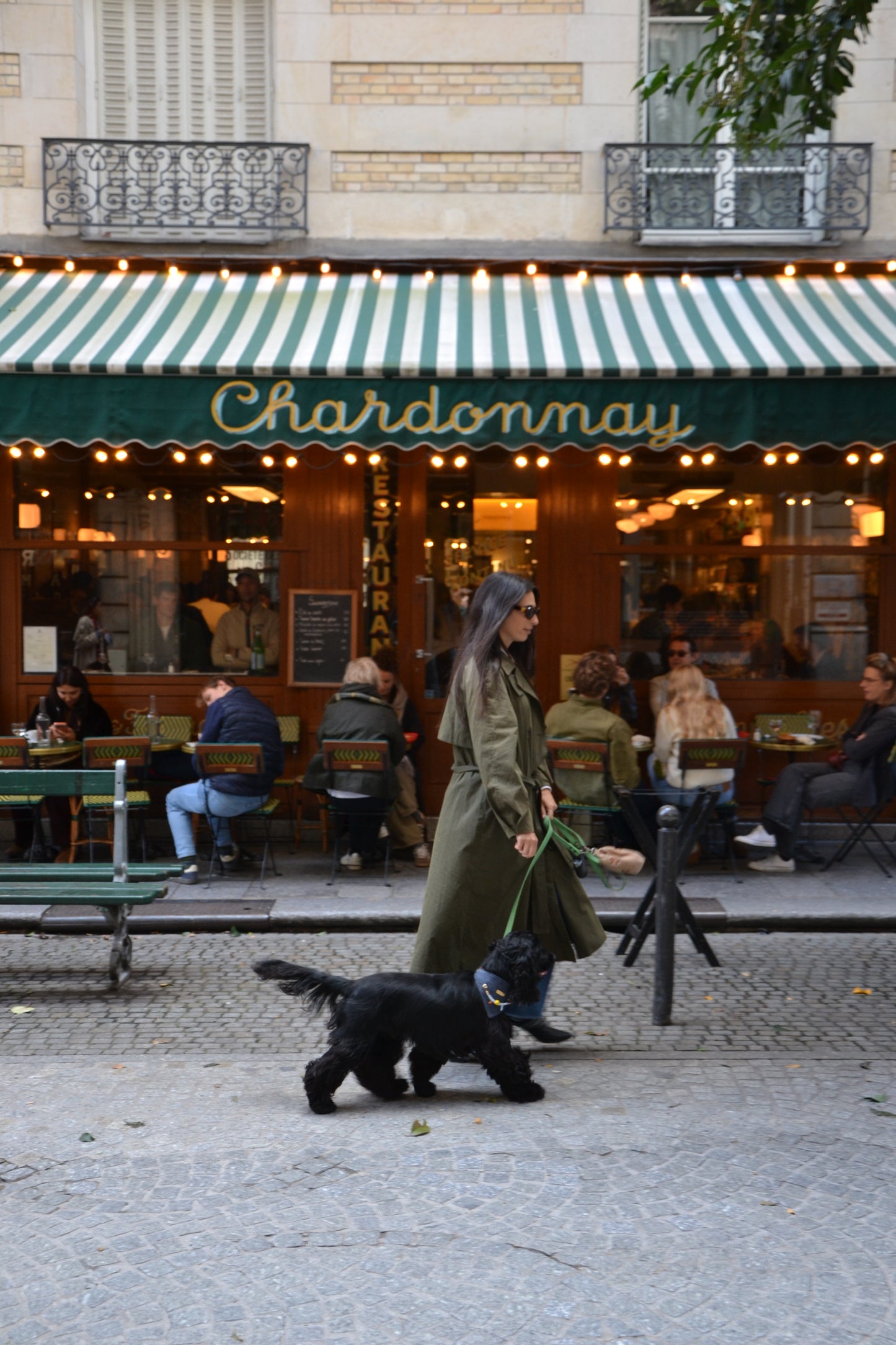 Bandana-Collier 100% denim Cool Kid pour chiens