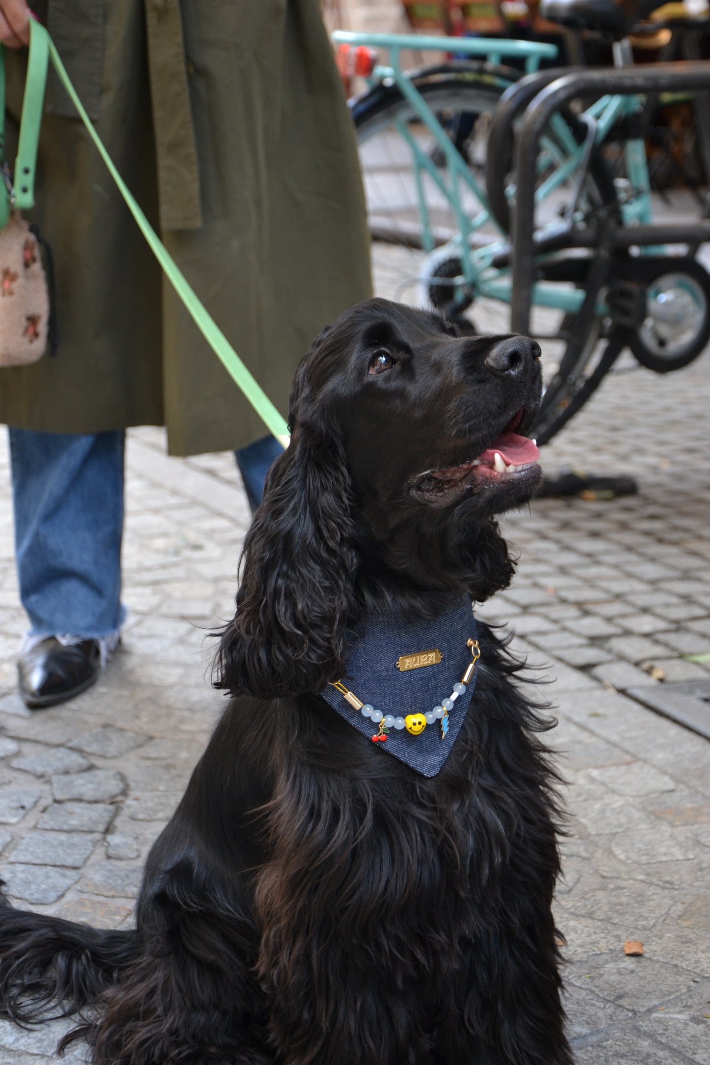 Bandana-Collier 100% denim Cool Kid pour chiens