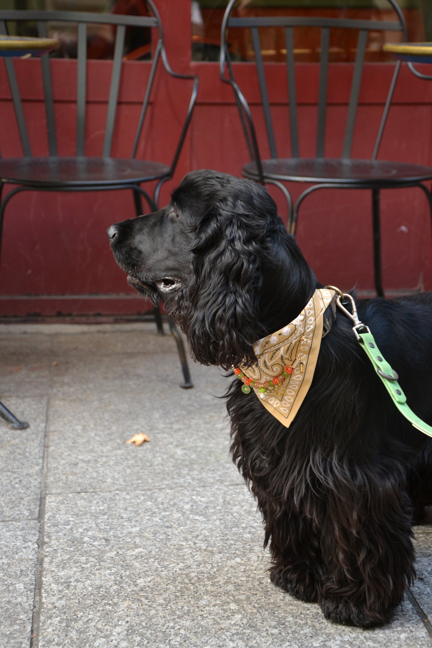 Bandana-Collier beige Fall In Love pour chien et chat