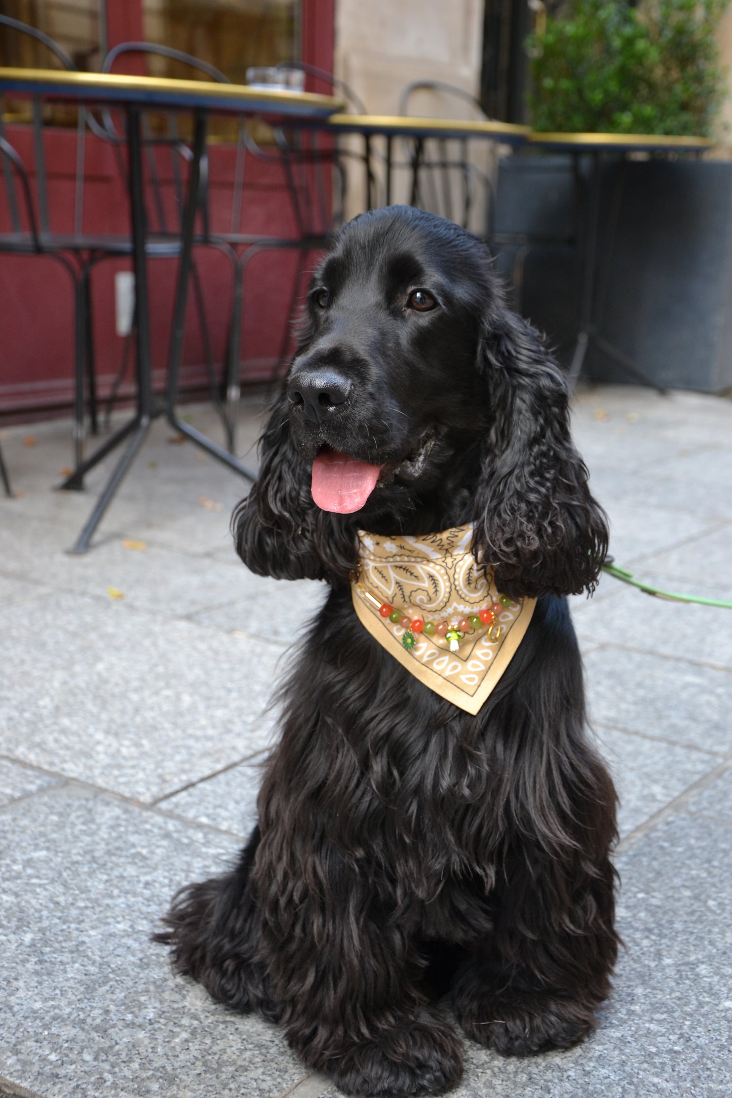 Bandana-Collier beige Fall In Love pour chien et chat