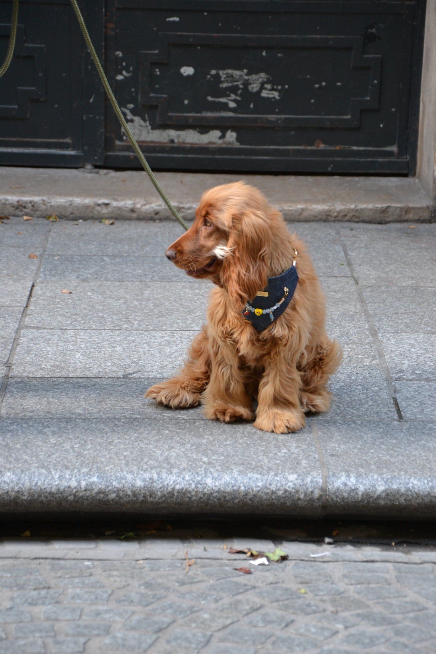 Bandana-Collier 100% denim Cool Kid pour chiens