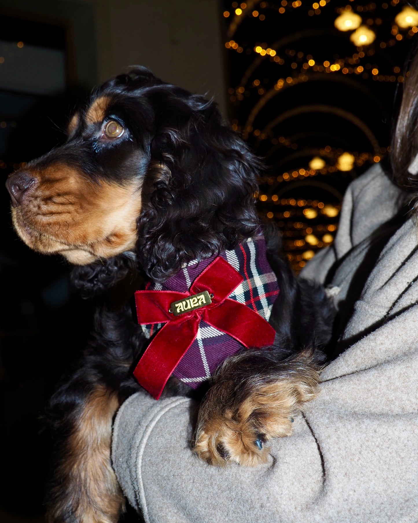 Bandana-Collier Tartan Noeud bordeaux