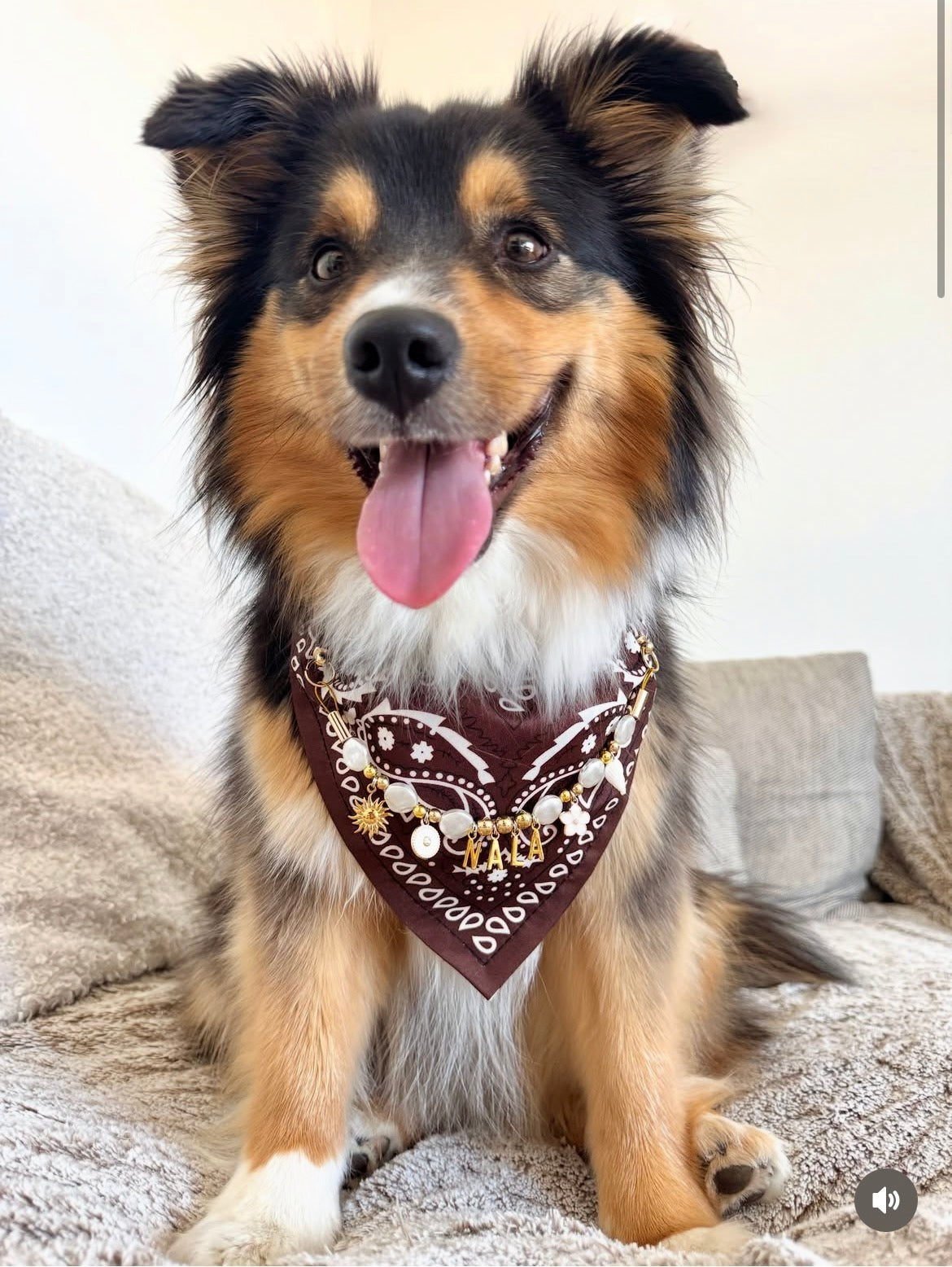 Collier Bandana 100% personnalisé