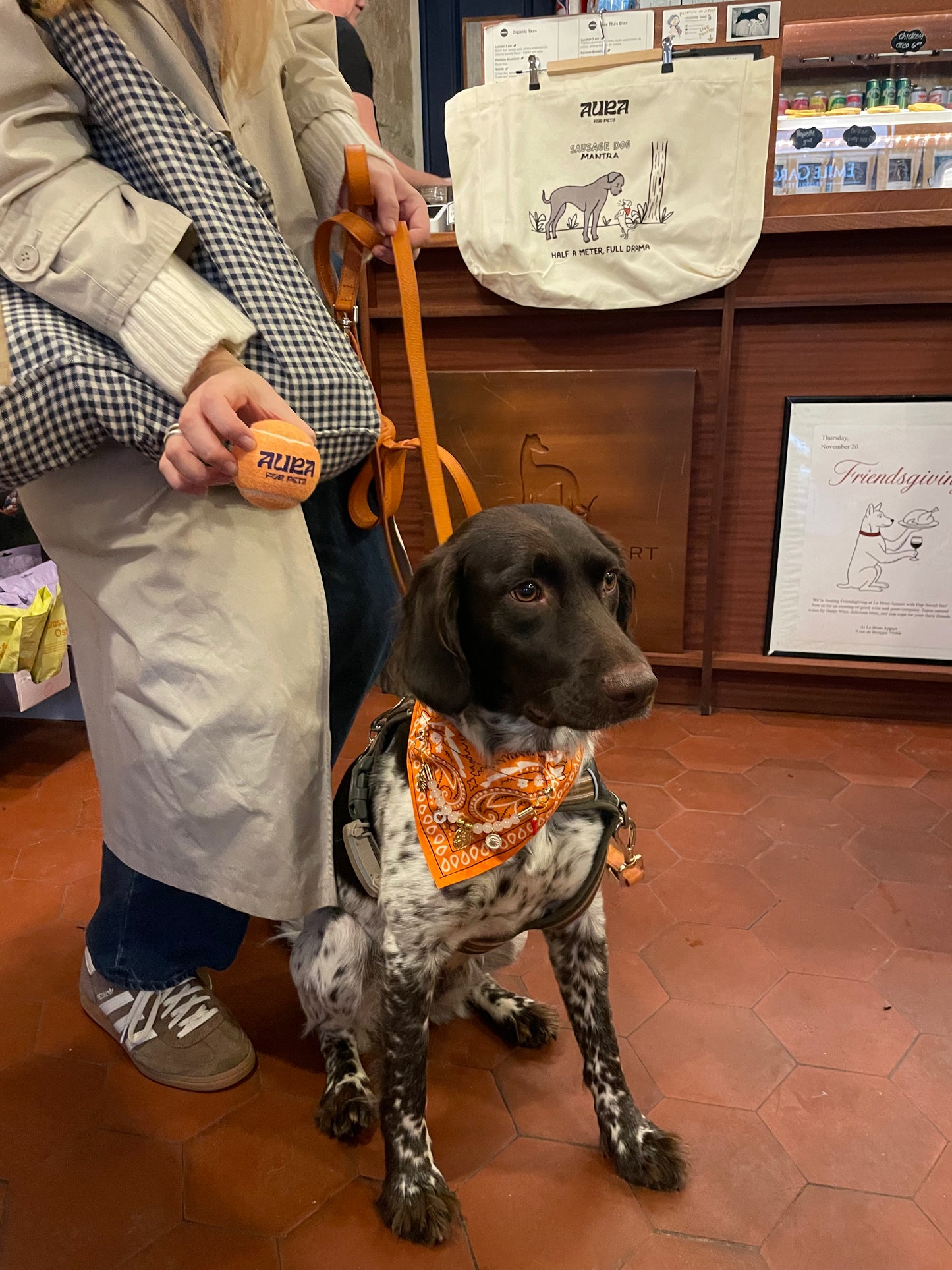 Pink tennis ball for Dogs and Cats