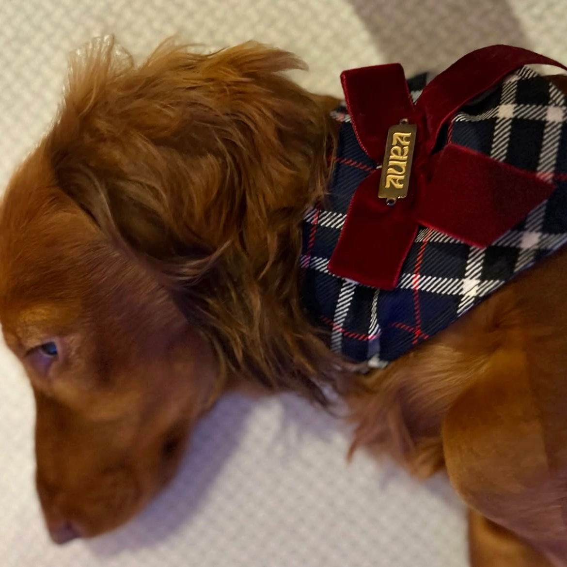 Tartan bandana-necklace with burgundy knot