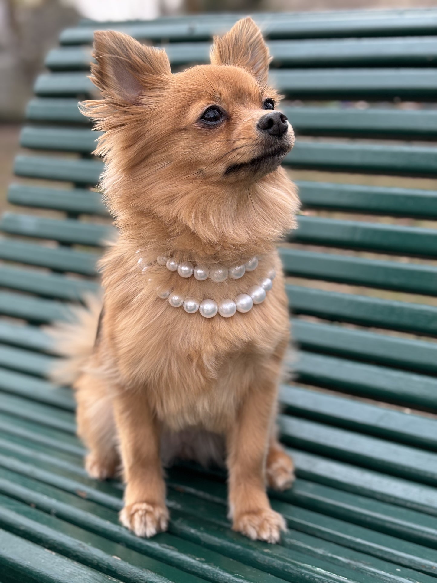 Collier en perles Baronne