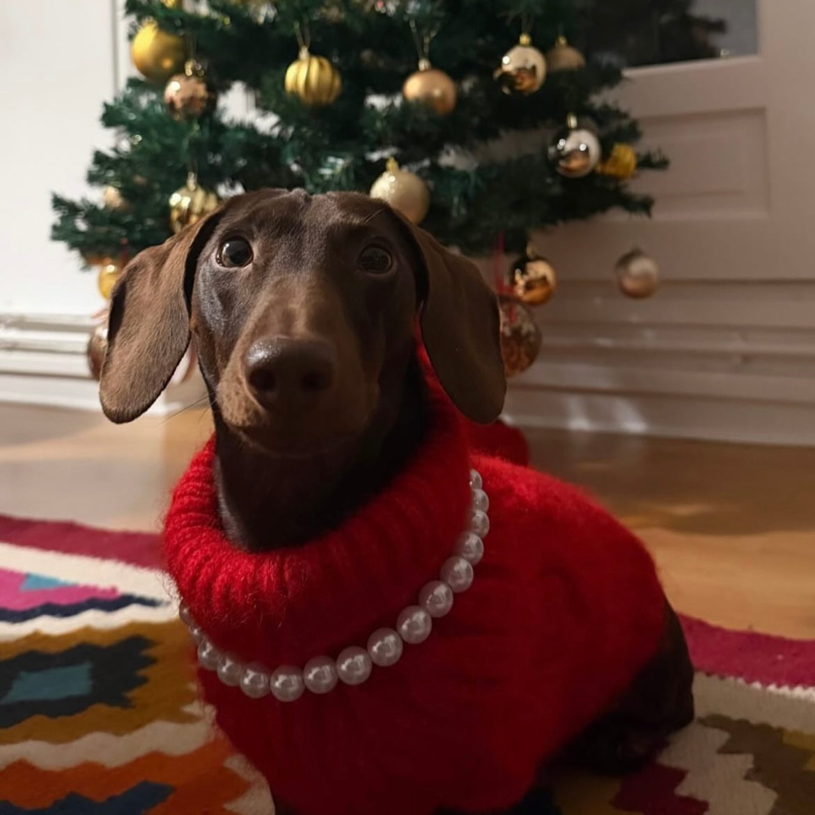 "Baronne" Pearl Collar for Dogs and Cats