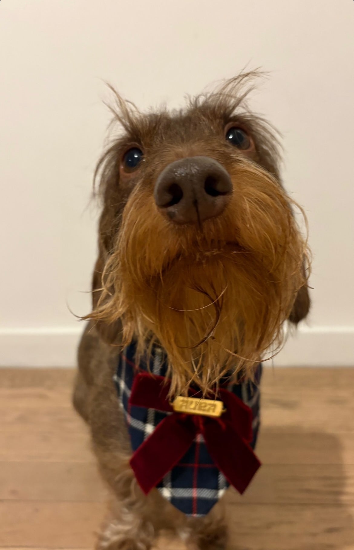 Tartan bandana-necklace with burgundy knot