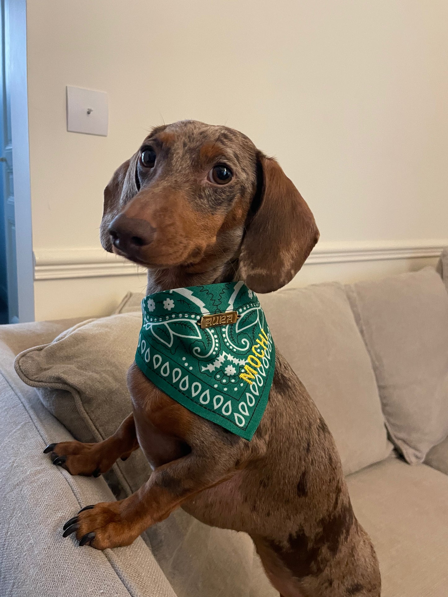 100% Personalized Bandana Necklace