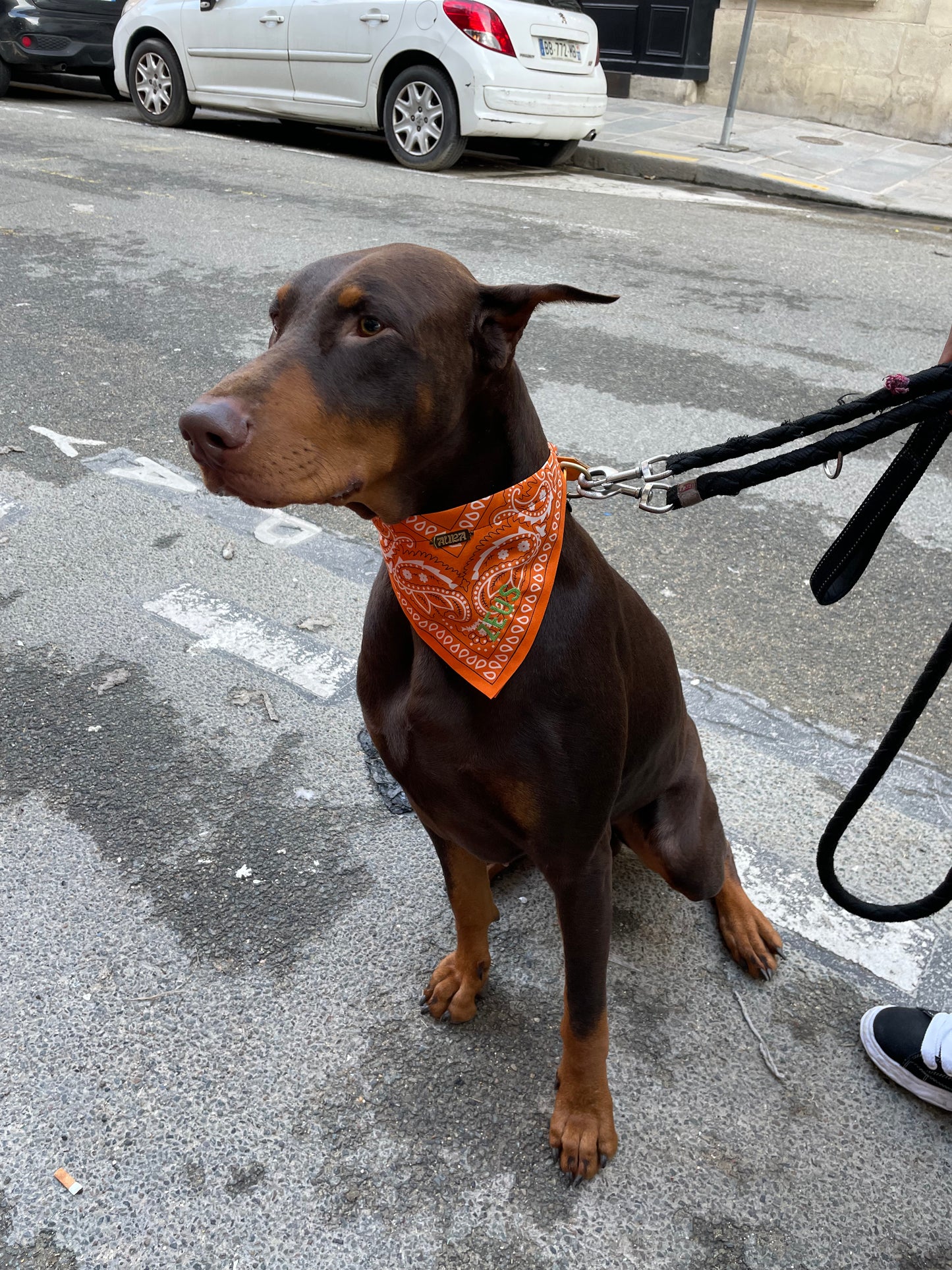 100% Personalized Bandana Necklace