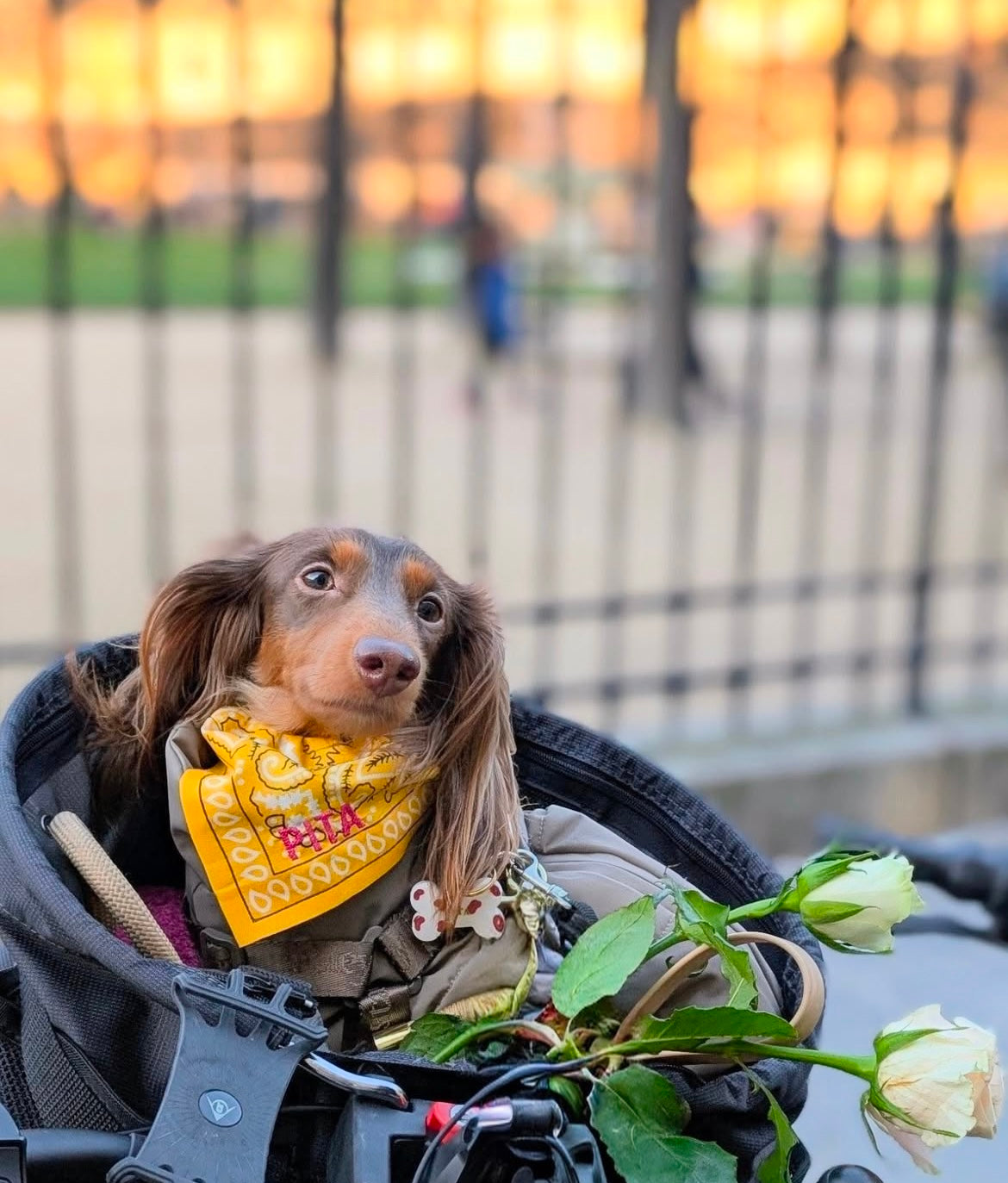 100% Personalized Bandana Necklace