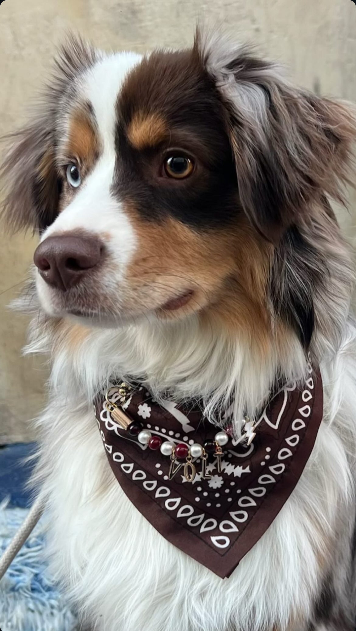 Collier Bandana 100% personnalisé