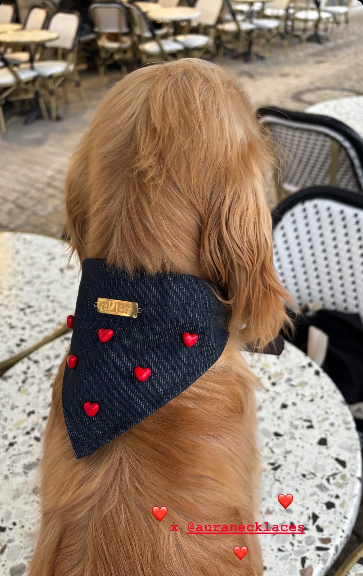 Bandana-Collier Cupidon pour chiens