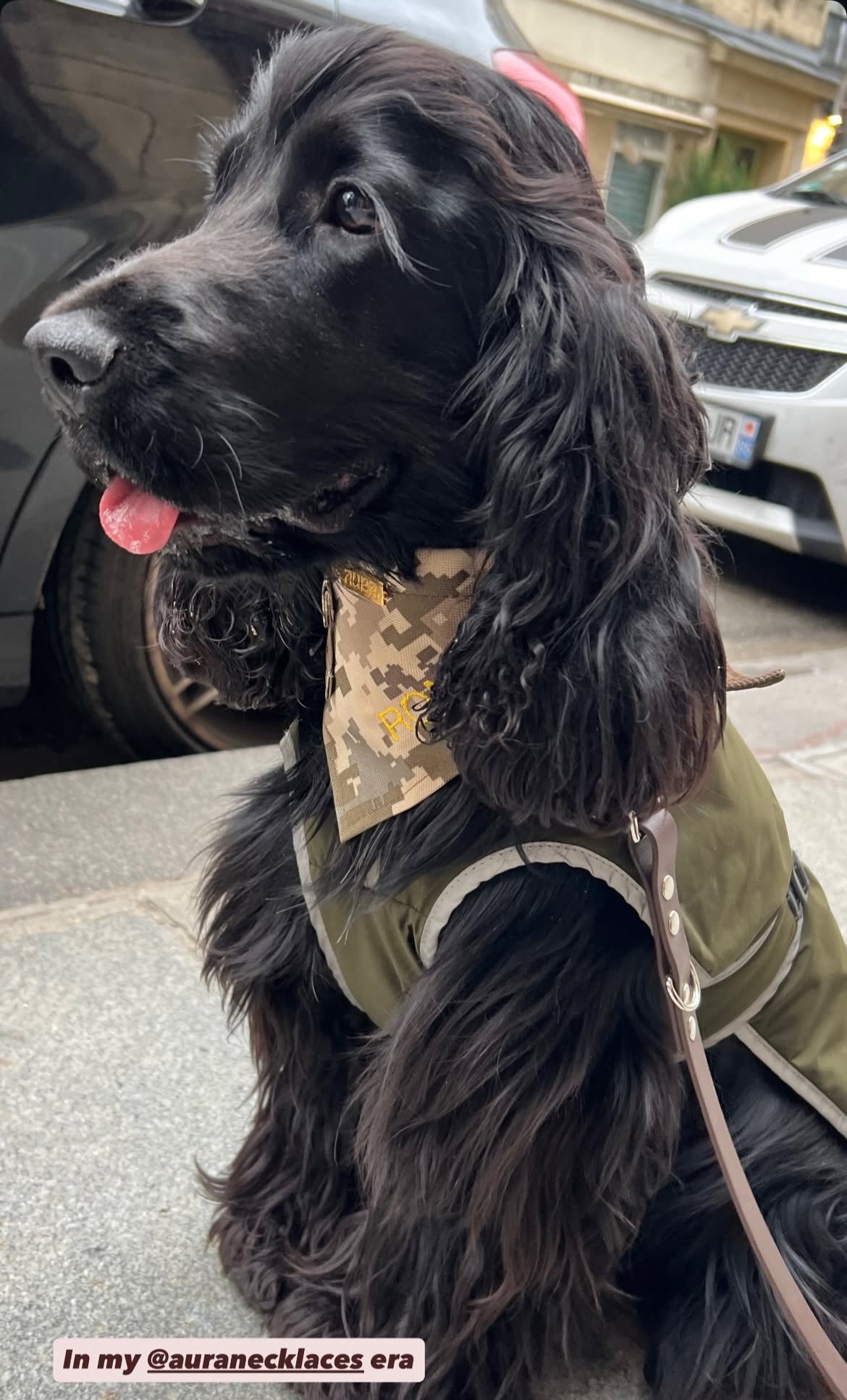 Tartan bandana-necklace with burgundy knot