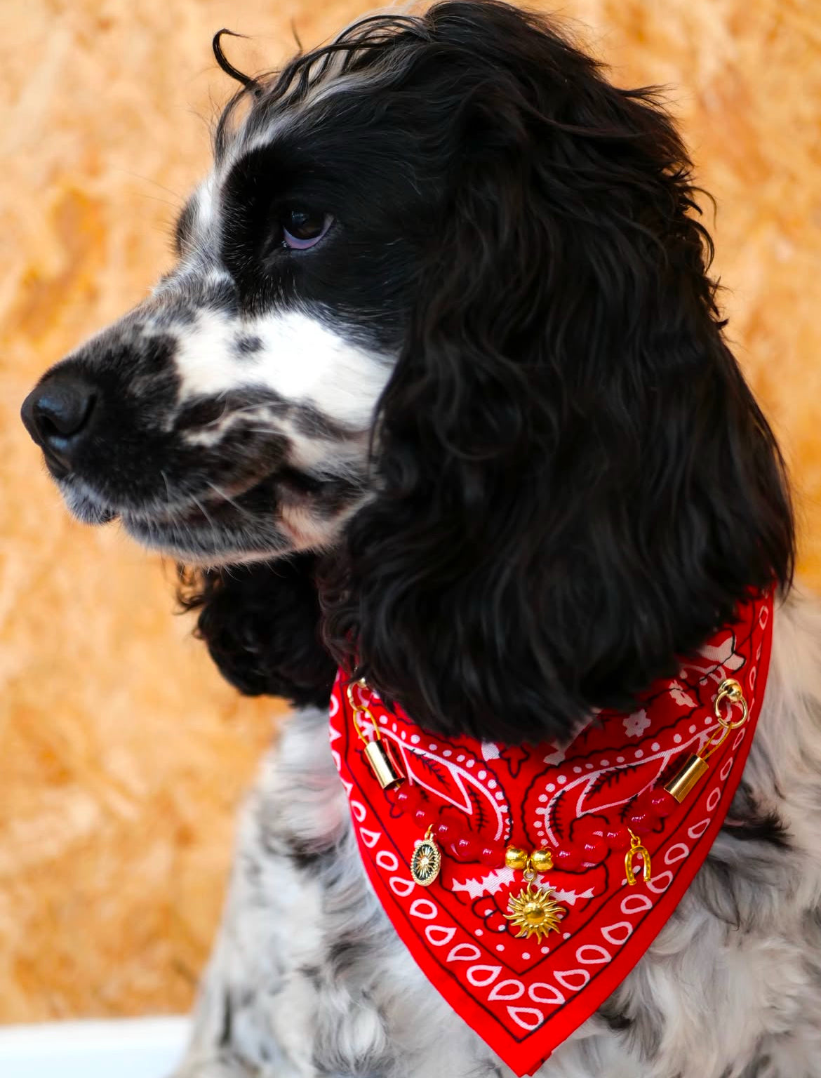 "Red Mustang" pink bandana collar for Dogs and Cats