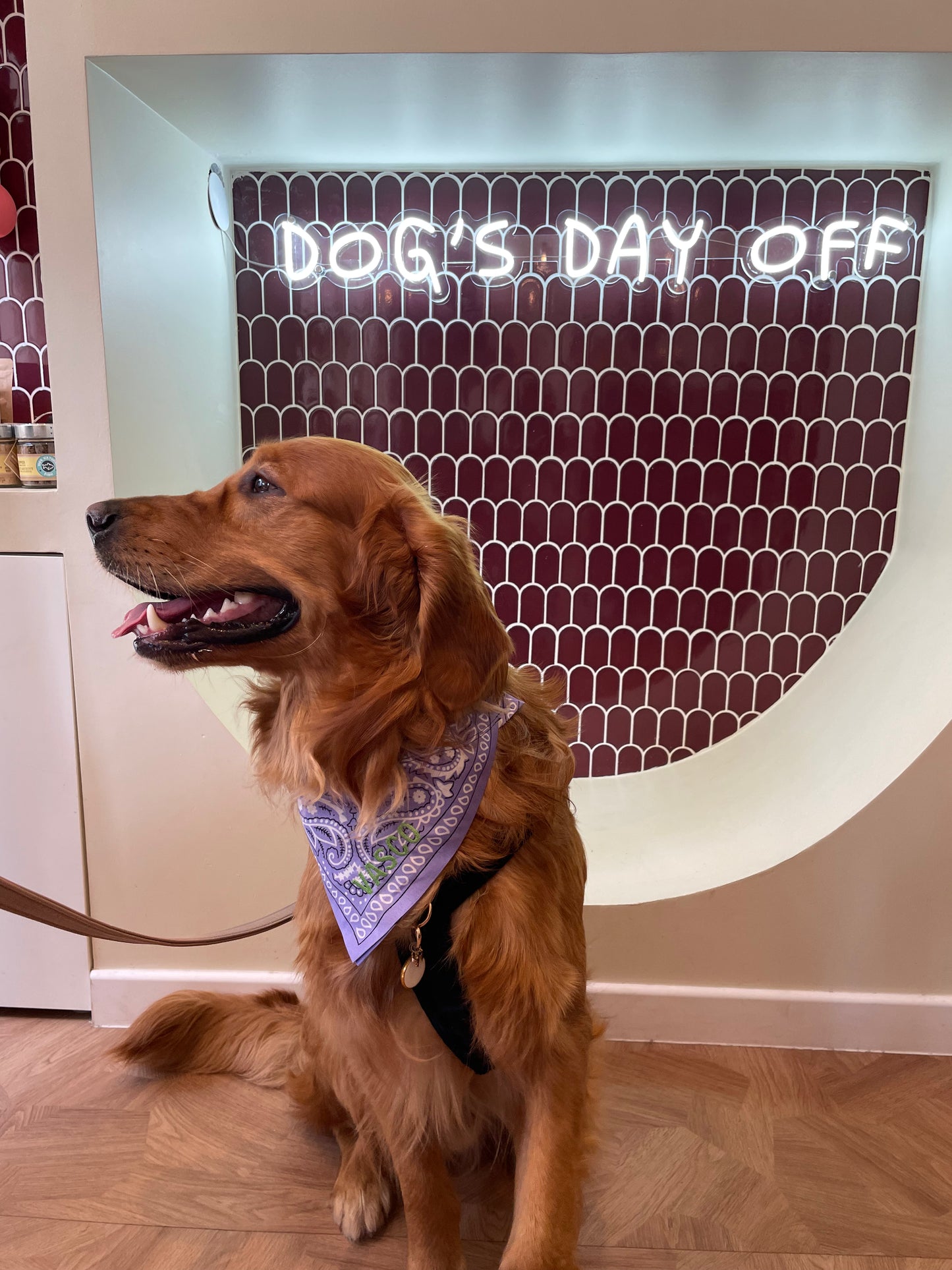 100% Personalized Bandana Necklace