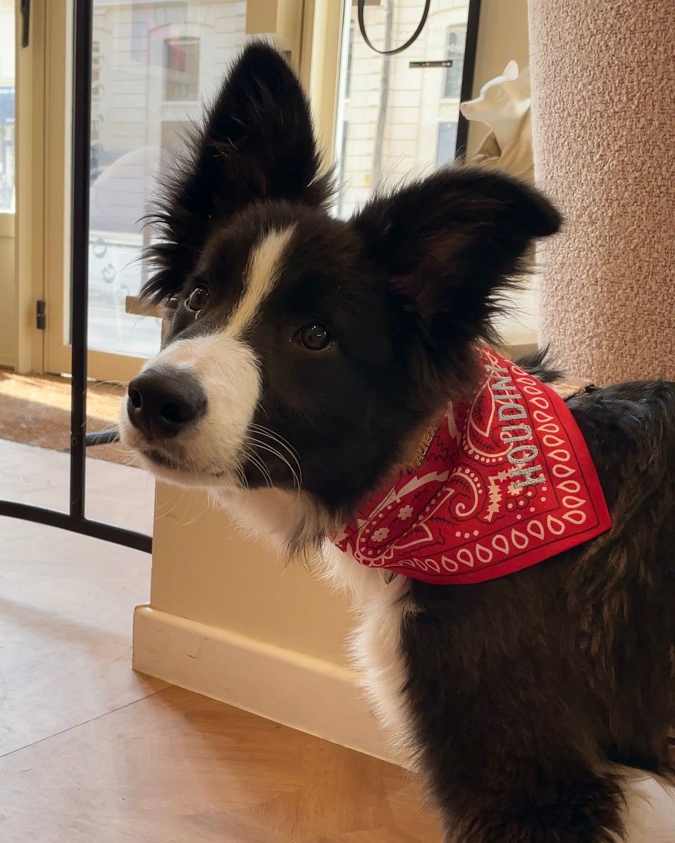 100% Personalized Bandana Necklace