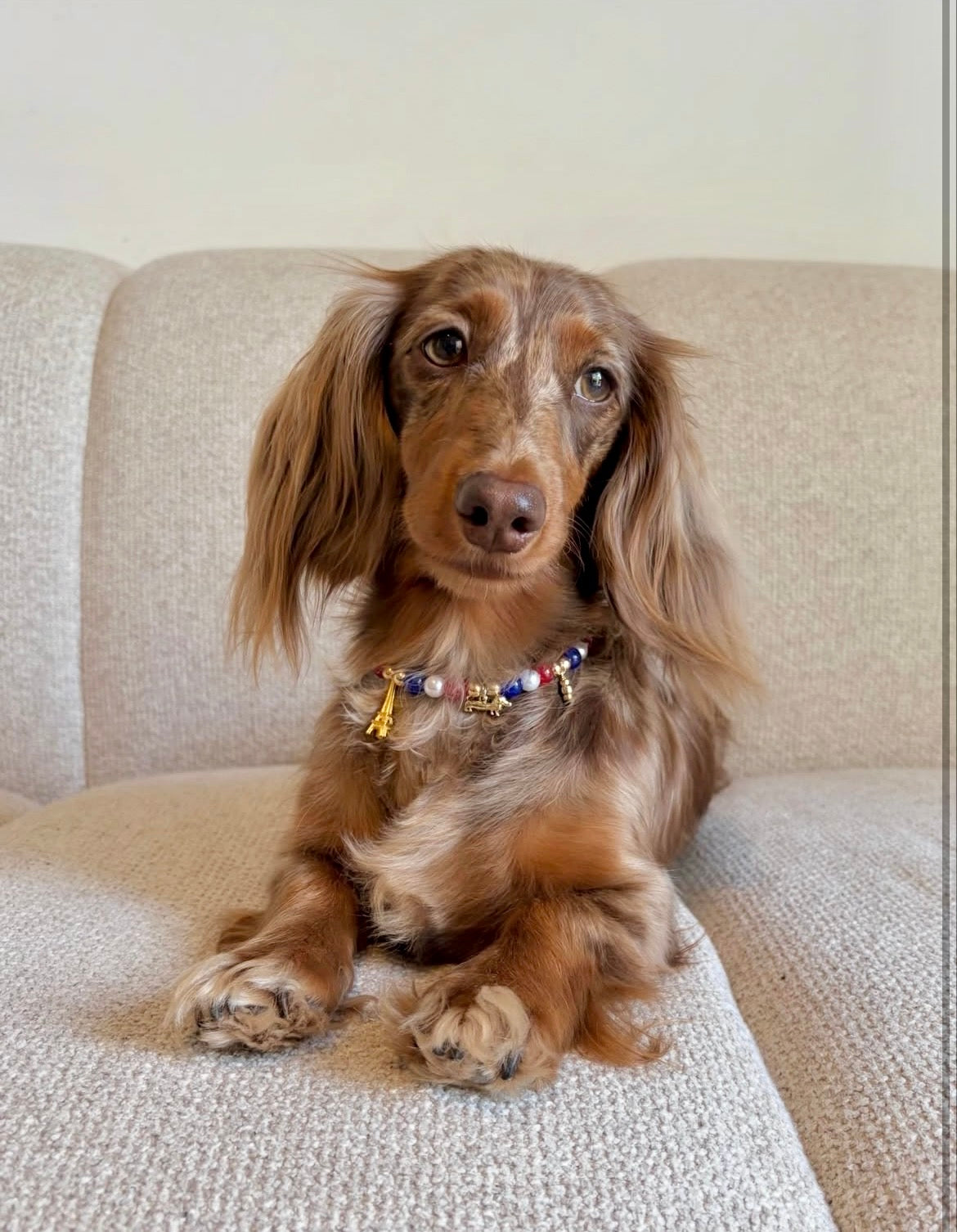 Collier en perles pour chien French Kiss