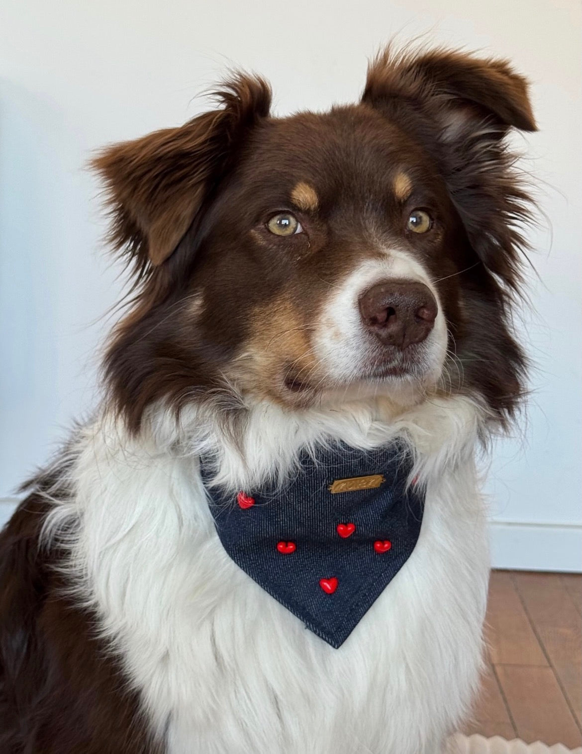 Bandana-Collier Cupidon pour chiens